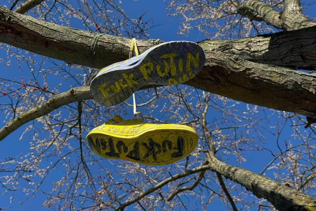 Two sports shoes painted in the colours of the Ukraine flag with an anti-Putin message are hung from a tree in Berlin's Kreuzberg district on March 4, 2026. (Photo by David GANNON / AFP)