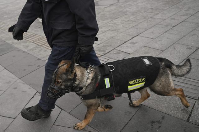 A police dog and its handler patrol on a street outside the Great Hall of the People, venue for the opening session of the National People's Congress (NPC), in Beijing on March 5, 2026. (Photo by Pedro PARDO / AFP)
