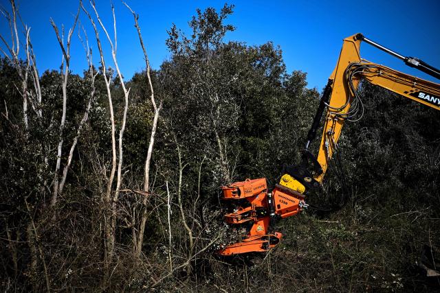 This photograph shows an excavator uprooting trees as a prevention measure in the wake of winter storms triggering coastal erosion and the retreat of the coastline, at the back of a beach in Saint-Palais-sur-Mer, south-western France on March 4, 2026. Severe winter storms seriously damaged the coastline of the Nouvelle-Aquitaine region with coastal erosion triggering the retreat of the coastline by several meters. (Photo by Christophe ARCHAMBAULT / AFP)
