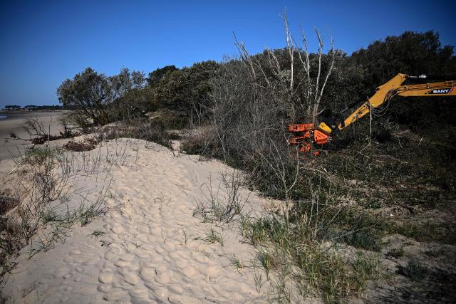 This photograph shows an excavator uprooting trees as a prevention measure in the wake of winter storms triggering coastal erosion and the retreat of the coastline, at the back of a beach in Saint-Palais-sur-Mer, south-western France on March 4, 2026. Severe winter storms seriously damaged the coastline of the Nouvelle-Aquitaine region with coastal erosion triggering the retreat of the coastline by several meters. (Photo by Christophe ARCHAMBAULT / AFP)