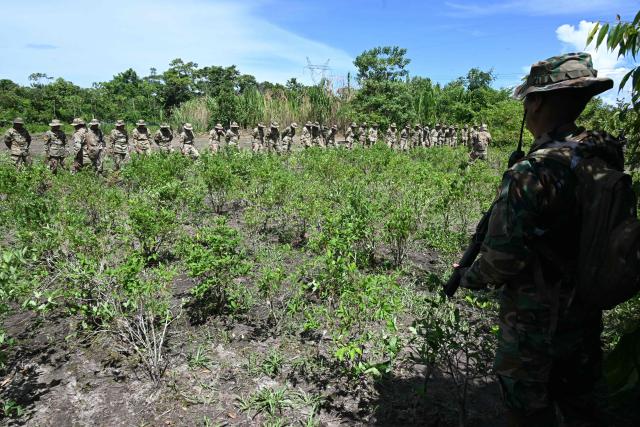 Bolivian soldiers prepare to eradicate coca plants on a demonstration camp after the presentation of the coca crop rationalization and eradication efforts at the Cabanas Operations base in Chimore, Cochabamba department, Bolivia on March 5, 2025. (Photo by AIZAR RALDES / AFP)