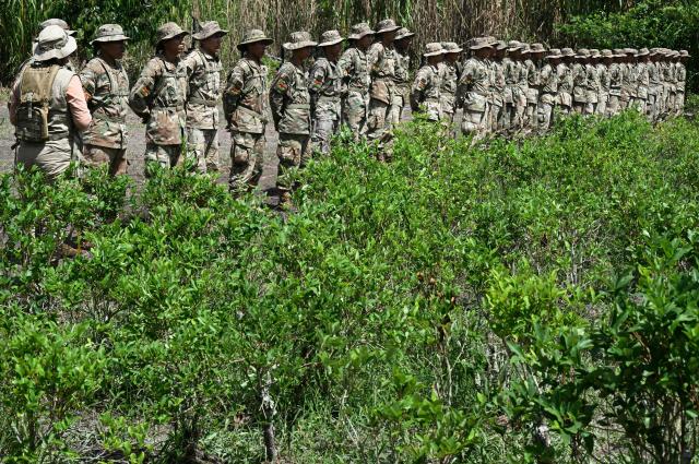 Bolivian soldiers prepare to eradicate coca plants on a demonstration camp after the presentation of the coca crop rationalization and eradication efforts at the Cabanas Operations base in Chimore, Cochabamba department, Bolivia on March 5, 2025. (Photo by AIZAR RALDES / AFP)