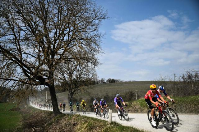 The pack rides during the 20th one-day classic 'Strade Bianche' (White Roads) men's cycling race between Siena and Siena in Tuscany on March 7, 2026. (Photo by Marco BERTORELLO / AFP)