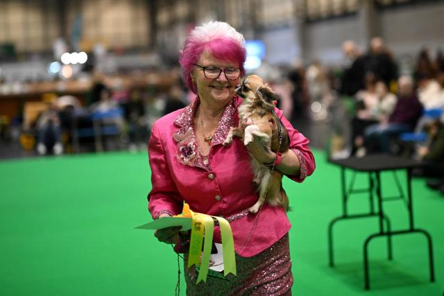 A handler carries their long coated chihuahua on the third day of the Crufts dog show at the National Exhibition Centre in Birmingham, central England, on March 7, 2026. (Photo by Oli SCARFF / AFP)