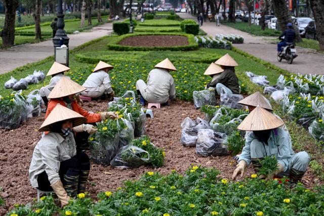 Workers wearing traditional conical hats plant flowers in a park in Hanoi on March 11, 2026. (Photo by Nhac NGUYEN / AFP)
