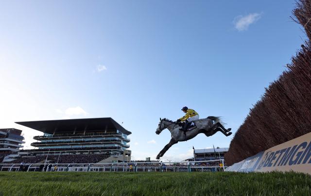 Jockey Paul Townend rides racehorse Il Etait Temps to win the Queen Mother Champion Chase horse race on the second day of the Cheltenham Festival at Cheltenham Racecourse, in Cheltenham, western England on March 11, 2026. (Photo by Adrian DENNIS / AFP)