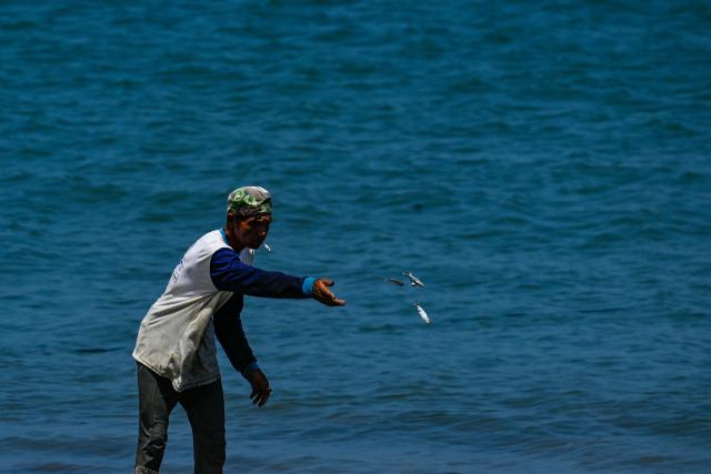 A fisherman collects fish at a beach in Banda Aceh on March 12, 2026. (Photo by CHAIDEER MAHYUDDIN / AFP)