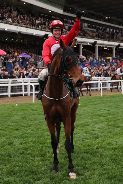 Jockey James Joseph Slevin celebrates on racehorse Home By The Lee after winning the Stayers' Hurdle horse race on the third day of the Cheltenham Festival at Cheltenham Racecourse, in Cheltenham, western England on March 12, 2026. (Photo by Adrian Dennis / AFP)