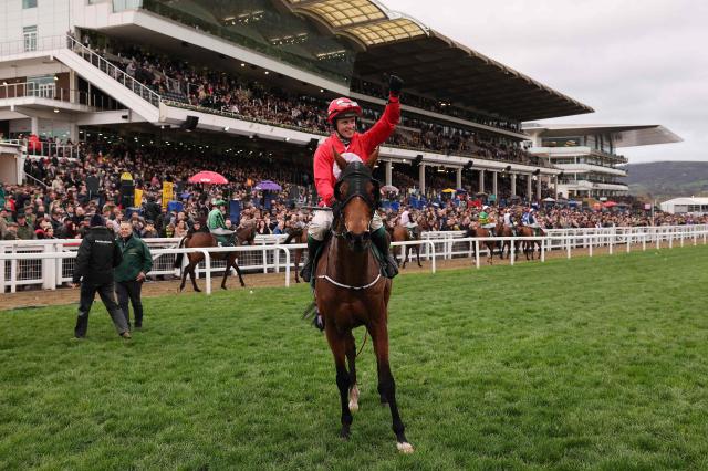Jockey James Joseph Slevin celebrates on racehorse Home By The Lee after winning the Stayers' Hurdle horse race on the third day of the Cheltenham Festival at Cheltenham Racecourse, in Cheltenham, western England on March 12, 2026. (Photo by Adrian Dennis / AFP)