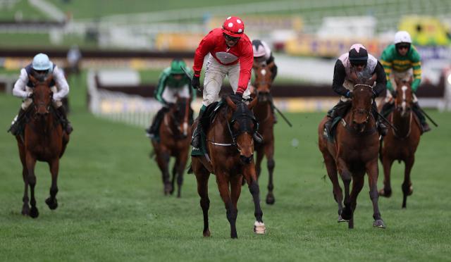 Jockey James Joseph Slevin rides racehorse Home By The Lee to win ahead of second placed Ballyburn ridden by Paul Towned (3R) and third-placed Bob Olinger ridden by jockey Darragh O'Keeffe in the Stayers' Hurdle horse race on the third day of the Cheltenham Festival at Cheltenham Racecourse, in Cheltenham, western England on March 12, 2026. (Photo by Adrian Dennis / AFP)