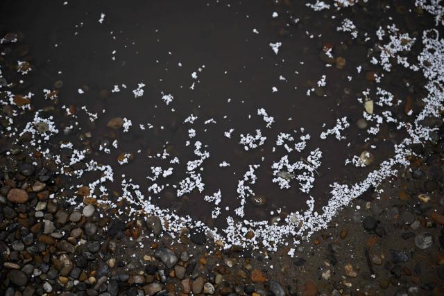 This photo taken on February 3, 2026 shows polystyrene fragments floating in water close to the demolition site of a property on the coastline of Thorpeness, Suffolk. In an English seaside village, researchers discuss options for relocating a graveyard threatened with slipping into the sea, or moving back a car park perilously close to a cliff edge. The team from the Coastwise project have been granted over 15 million pounds (20 million USD) in government funding to adapt the coastline in North Norfolk, eastern England, to accelerating erosion worsened by climate change. (Photo by Ben STANSALL / AFP) / TO GO WITH Britain-climate-environment,FOCUS by Akshata KAPOOR