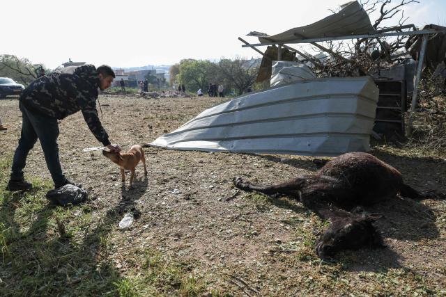 EDITORS NOTE: Graphic content / TOPSHOT - A man pets a dog next to a dead horse at the site of a rocket strike in Zarzir, northern Israel, on March 13, 2026. New waves of attacks struck Iran and Gulf nations on March 13 after Tehran renewed its threats on oil facilities, while France announced its first soldier killed during the Mideast war. The latest strikes on Iran hit over 200 targets in the past day, Israel's military said well into the second week of the US-Israeli campaign that has grown into a deadly regional fight causing economic chaos. (Photo by Odd ANDERSEN / AFP) / 