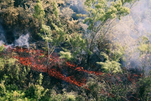 This aerial photograph shows a lava flow making its way through a forested area crossing the RN2 road near Sainte-Rose close to the Piton de la Fournaise volcano in the southeast of the French overseas island of Reunion on March 13, 2026. Two lava flows spewed out by Piton de la Fournaise, a volcano that has been erupting for a month on Rйunion Island, have cut the national road linking the south to the east of the island—something that has not happened in nearly 20 years, the prefecture said on Friday. (Photo by Richard BOUHET / AFP)