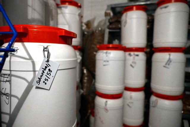 A photo shows containers with seeds of trees, in a cold room at the gene bank of the Centre for Forestry and Timber Industry in Arnsberg, western Germany on March 13, 2026. The Centre, which includes also Forest Genetics and Propagation Division, manages the new seed orchard, where genetic resources are preserved and make an important contribution to the climate-adapted development of forests in North Rhine-Westphalia. Over the past three years, around 15 tonnes of raw seed have been harvested from the 74 plantations, from both tree species requiring special protection and those that are already key components of North Rhine-Westphalias forests. (Photo by Ina FASSBENDER / AFP)