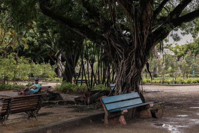 A view of the 13 de Maio park that was the scenario of the film "O Agente Secreto" (The Secret Agent) is pictured at the city center of Recife, Pernambuco state, Brazil, on February 13, 2026. The northeastern Brazilian city of Recife, where the Oscar-nominated movie "The Secret Agent" is set, is revelling in its moment in the limelight as tourists flock to film locations and a classic local shirt flies off the shelves. (Photo by BRENDA ALCANTARA / AFP)