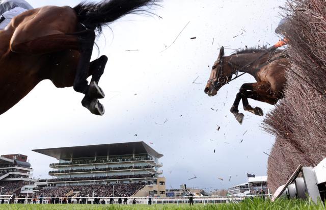Runners and riders jump a fence as they compete in the Mares' Chase horse race on the fourth day of the Cheltenham Festival at Cheltenham Racecourse, in Cheltenham, western England on March 13, 2026. The race was won by Dinoblue ridden by Jockey Mark Walsh. (Photo by Adrian DENNIS / AFP)