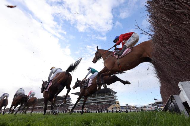 Envoi Alle ridden by jockey Darragh O'Keeffe (R) clears a fence as they compete in the Gold Cup chase horse race on the fourth day of the Cheltenham Festival at Cheltenham Racecourse, in Cheltenham, western England on March 13, 2026. Envoi Allen -- a winner of 10 Grade One races, including at the Festival -- collapsed and died on his final racecourse appearance after finishing ninth and last. (Photo by Adrian DENNIS / AFP)