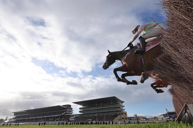 Jockey Paul Townend on Gaelic Warrior rides to win the Gold Cup chase horse race on the fourth day of the Cheltenham Festival at Cheltenham Racecourse, in Cheltenham, western England on March 13, 2026. Gaelic Warrior eased home to win the Cheltenham Gold Cup, the blue-riband event of steeplechasing, and give trainer Willie Mullins a record-equalling fifth win in the race on Friday. Envoi Allen -- a winner of 10 Grade One races, including at the Festival -- collapsed and died on his final racecourse appearance after finishing ninth and last. (Photo by Adrian DENNIS / AFP)