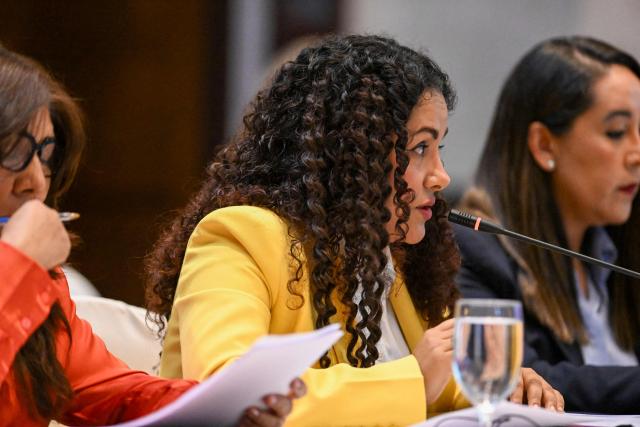 The Coordinator for the Protection of Human Rights of the State of Oaxaca, Flor Morales, speaks during a public hearing on "Mexico: Situation of internal displacement" as part of the commission's 195th period of sessions in Guatemala City on March 13, 2026. (Photo by JOHAN ORDONEZ / AFP)