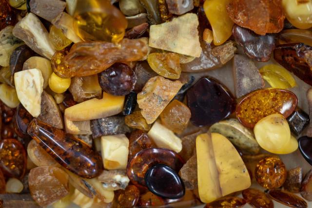 this picture presents pieces of natural Baltic amber in the box waiting to be crafted by students at workshop of Experimental Design Studio on Academy of Fine Arts in Gdansk, Poland on March 10, 2026. Long coveted for its golden color, scientific value and alleged healing properties, amber is now coming into the hand of young Polish jewelers, bringing the ancient resin into modern times. Together with drills, sanders, blasters, and power saws which look like they belong to a bygone era, virtual reality stations are used to combine earlier tools with state-of-the-art technology at the Academy of Fine Arts in Gdansk, a city on Poland's Baltic Coast known as amber's global capital. (Photo by Wojtek RADWANSKI / AFP)