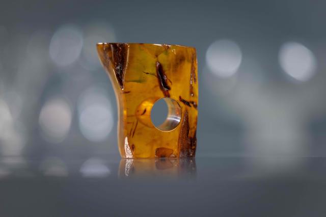 This picture presents piece of artistic jewellery made of natural Baltic amber, designed and created by student of Experimental Design Stuio on Academy of Fine Arts in Gdansk, Poland on March 10, 2026. Long coveted for its golden color, scientific value, and alleged healing properties, amber is now coming into the hand of young Polish jewelers, bringing the ancient resin into modern times. Together with drills, sanders, blasters, and power saws which look like they belong to a bygone era, virtual reality stations are used to combine earlier tools with state-of-the-art technology at the Academy of Fine Arts in Gdansk, a city on Poland's Baltic Coast known as amber's global capital. (Photo by Wojtek RADWANSKI / AFP)
