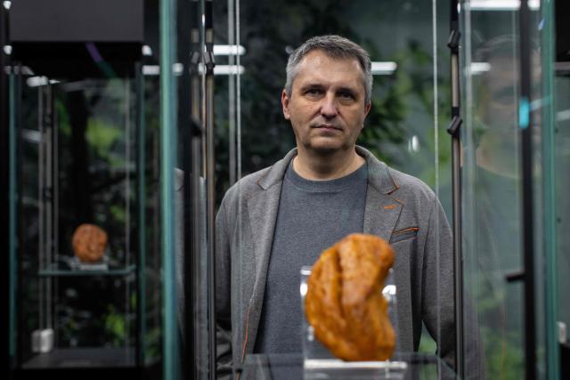 Professor and jewellery designer Slawomir Fijalkowski, head of the Experimental Design Studio on Academy of Fine Arts in Gdansk, poses for the pictures at the Amber Museum in Gdansk, Poland on March 10, 2026. Long coveted for its golden color, scientific value and alleged healing properties, amber is now coming into the hand of young Polish jewelers, bringing the ancient resin into modern times. Together with drills, sanders, blasters, and power saws which look like they belong to a bygone era, virtual reality stations are used to combine earlier tools with state-of-the-art technology at the Academy of Fine Arts in Gdansk, a city on Poland's Baltic Coast known as amber's global capital. (Photo by Wojtek RADWANSKI / AFP)