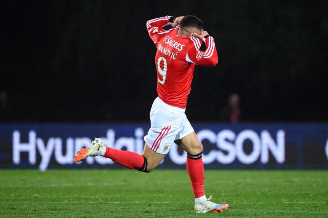 SL Benfica's Croatian forward #09 Franjo Ivanovic celebrates scoring his team's second goal during the Portuguese League football match between FC Arouca and SL Benfica at Municipal de Arouca stadium in Aveiro on March 14, 2026. (Photo by Miguel RIOPA / AFP)