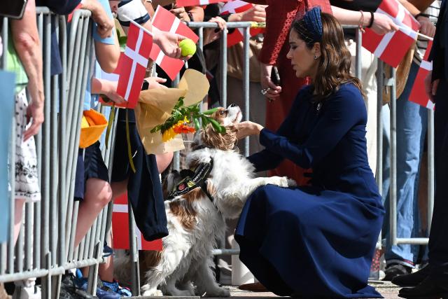 Denmark’s Queen Mary pats a dog as she meets the public during a visit to the Australian War Memorial in Canberra on March 16, 2026. (Photo by LUKAS COCH / POOL / AFP)