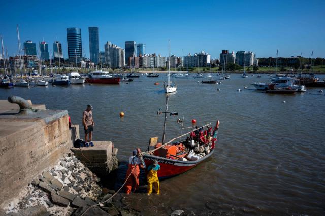 Fishermen moor their boat at Buceo port with the day’s catch in Montevideo on March 16, 2026. Despite strict oversight from Uruguay’s fisheries authority, the National Directorate of Aquatic Resources (DINARA), a 2025 analysis by the Network for Interdisciplinary Studies on Public Policies and the Environment (NIEPU) and technical evaluations by the Center for Marketing Information and Advisory Services for Fishery Products in Latin America and the Caribbean (INFOPESCA) warn that artisanal fishing is at a tipping point, strained by outdated boats, scarce financing and recurring sanitary restrictions—factors that threaten the survival of one of the country’s most traditional coastal livelihoods. (Photo by Eitan ABRAMOVICH / AFP)