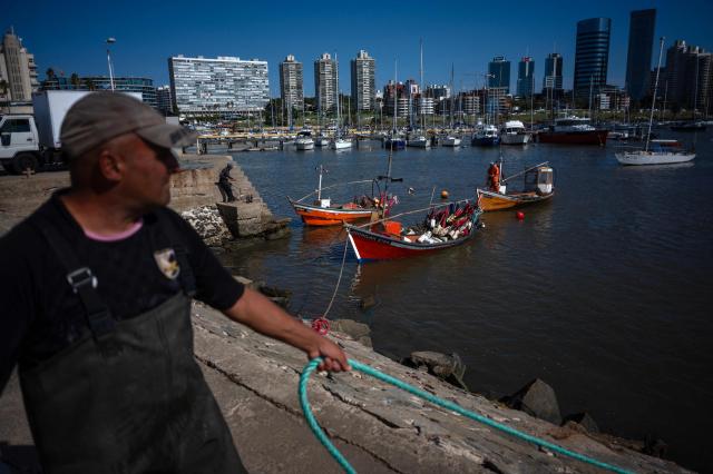 Fishermen moor their boats at Buceo port with the day’s catch in Montevideo on March 16, 2026. Despite strict oversight from Uruguay’s fisheries authority, the National Directorate of Aquatic Resources (DINARA), a 2025 analysis by the Network for Interdisciplinary Studies on Public Policies and the Environment (NIEPU) and technical evaluations by the Center for Marketing Information and Advisory Services for Fishery Products in Latin America and the Caribbean (INFOPESCA) warn that artisanal fishing is at a tipping point, strained by outdated boats, scarce financing and recurring sanitary restrictions—factors that threaten the survival of one of the country’s most traditional coastal livelihoods. (Photo by Eitan ABRAMOVICH / AFP)