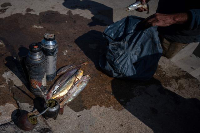 A fisherman collects small fish for personal consumption displayed beside mates and thermos at Buceo port in Montevideo on March 16, 2026. Despite strict oversight from Uruguay’s fisheries authority, the National Directorate of Aquatic Resources (DINARA), a 2025 analysis by the Network for Interdisciplinary Studies on Public Policies and the Environment (NIEPU) and technical evaluations by the Center for Marketing Information and Advisory Services for Fishery Products in Latin America and the Caribbean (INFOPESCA) warn that artisanal fishing is at a tipping point, strained by outdated boats, scarce financing and recurring sanitary restrictions—factors that threaten the survival of one of the country’s most traditional coastal livelihoods. (Photo by Eitan ABRAMOVICH / AFP)