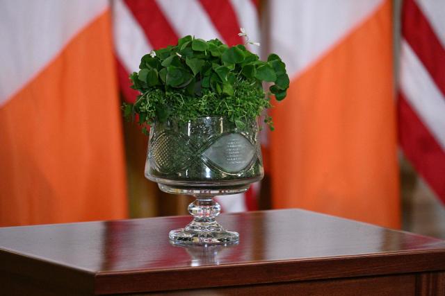 A bowl of shamrocks sits on a table in the East Room of the White House in Washington, DC on March 17, 2026. (Photo by Jim WATSON / AFP)