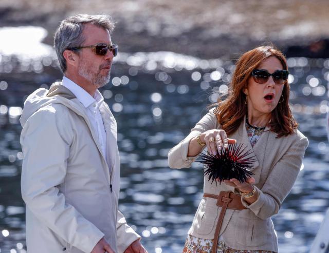 Denmark's King Frederik X and Queen Mary look at an urchin during a trip onboard an Institute for Marine and Antarctic Studies (IMAS) vessel to view the kelp conservation forest at the Alum Cliffs Marine Reserve in Hobart on March 19, 2026. (Photo by ROB BLAKERS / POOL / AFP)