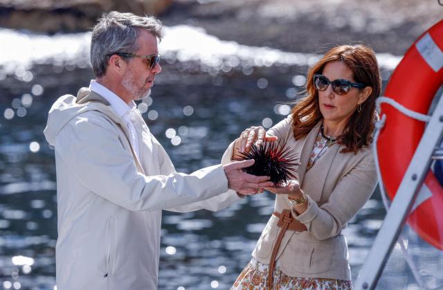 Denmark's King Frederik X and Queen Mary look at an urchin during a trip onboard an Institute for Marine and Antarctic Studies (IMAS) vessel to view the kelp conservation forest at the Alum Cliffs Marine Reserve in Hobart on March 19, 2026. (Photo by ROB BLAKERS / POOL / AFP)