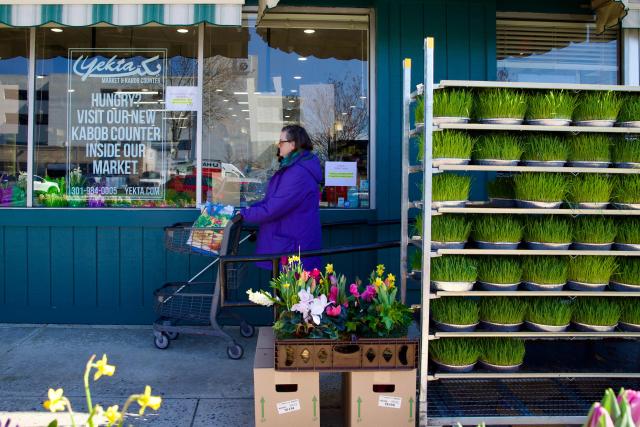 Sabzeh (at right), a type of wheat grass that is a key item for Nowruz Haft-Sin tables, is displayed for sale as a woman shops at Yekta Market, an Iranian grocery store in Rockville, Maryland, on March 18, 2026, ahead of Nowruz, the Persian New Year. Iranian families in the Washington, DC, area are trying to maintain cultural traditions while following the news of the ongoing conflict in Iran. From specialty Persian markets to community gatherings, preparations continue with a mix of resilience and concern, as the diaspora balances celebration with anxiety for loved ones in a country facing escalating violence. (Photo by Amid FARAHI / AFP)
