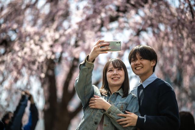 People take pictures with a cherry blossom tree at Ueno park in Tokyo on March 21, 2026. (Photo by Philip FONG / AFP)