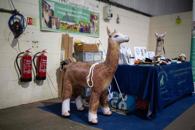 An inflatable alpaca adorns a trade stand at the British Alpaca Society National Show held at the Staffordshire County Showground, in Stafford, central England on March 20, 2026. The three-day British Alpaca Society National Show brings together 510 alpacas from 69 exhibitors from across the UK vying to be awarded the title of 'Supreme Champion' in either the Huacaya or Suri fleece categories. (Photo by Oli SCARFF / AFP)