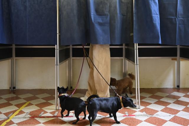 Dogs stand by their owner in a polling station on the first day to vote for the Italian constitutional referendum on justice reform, in Milan, on March 22, 2026. (Photo by Piero CRUCIATTI / AFP)