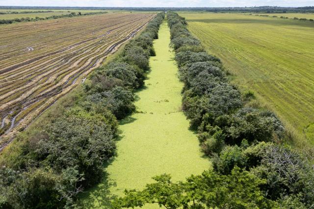 General view of water management canals at the Fazenda San Francisco at the Pantanal, a key region along birds' migratory routes in the Americas, in the municipality of Miranda in Mato Grosso do Sul state, Brazil on March 20, 2026. (Photo by Pablo PORCIUNCULA / AFP)