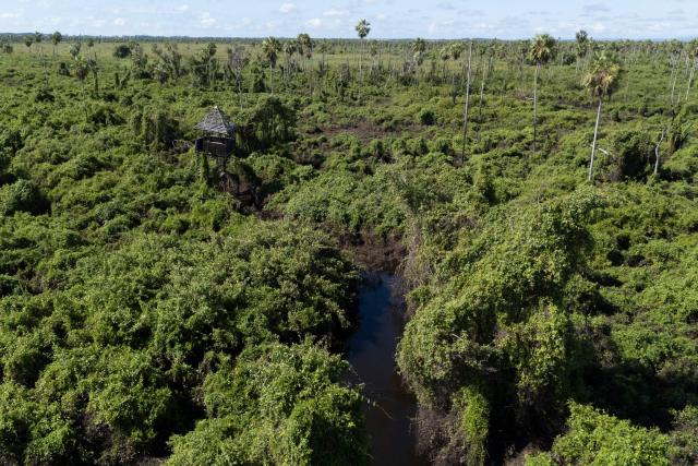 General view of the ecological reserve of Fazenda San Francisco at the Pantanal, a key region along birds' migratory routes in the Americas, in the municipality of Miranda in Mato Grosso do Sul state, Brazil on March 20, 2026. (Photo by Pablo PORCIUNCULA / AFP)