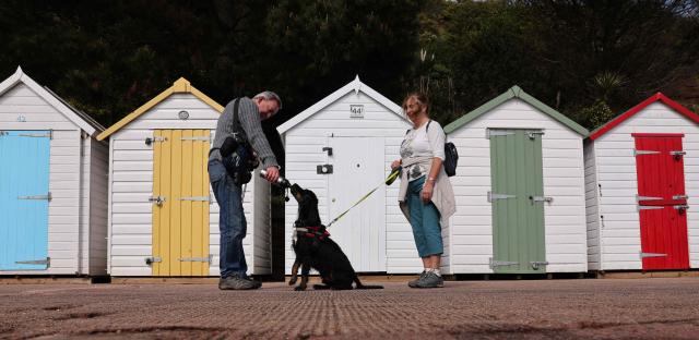 A dog is given a drink of water from a bottle during a walk along the coastal path, past beach huts in Paignton, Devon, south-west England on March 23, 2026 (Photo by Adrian DENNIS / AFP)