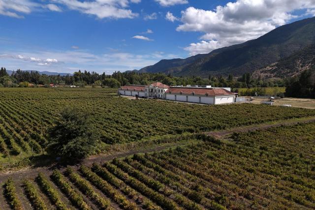 Aerial view showing a vineyard in the city of San Fernando, in the O'Higgins region of Chile, on March 21, 2026. (Photo by RODRIGO ARANGUA / AFP)