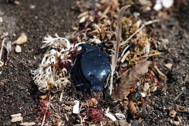 Crude oil slicks are pictured on a beach in Alvarado, Veracruz state, Mexico on March 24, 2026. Mexican authorities and local residents have removed more than 30 tons of "contaminated material" from beaches in the state of Veracruz (in eastern Mexico) following an oil spill reported in early March 2026, the Navy Secretariat announced on March 24. (Photo by Victoria RAZO / AFP)