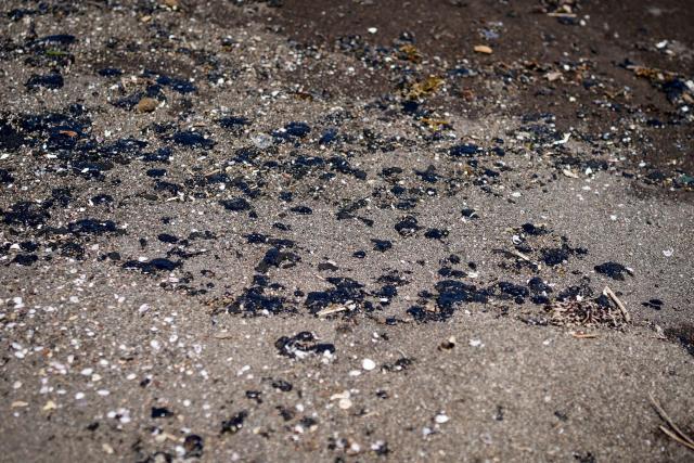Crude oil slicks are pictured on a beach in Alvarado, Veracruz state, Mexico on March 24, 2026. Mexican authorities and local residents have removed more than 30 tons of "contaminated material" from beaches in the state of Veracruz (in eastern Mexico) following an oil spill reported in early March 2026, the Navy Secretariat announced on March 24. (Photo by Victoria RAZO / AFP)