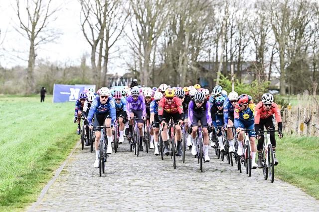 The pack rides during the 'Ronde van Brugge' men's elite one-day cycling race, 202,9 km from and to Bruges on March 25, 2026. (Photo by MAARTEN STRAETEMANS / Belga / AFP) / Belgium OUT