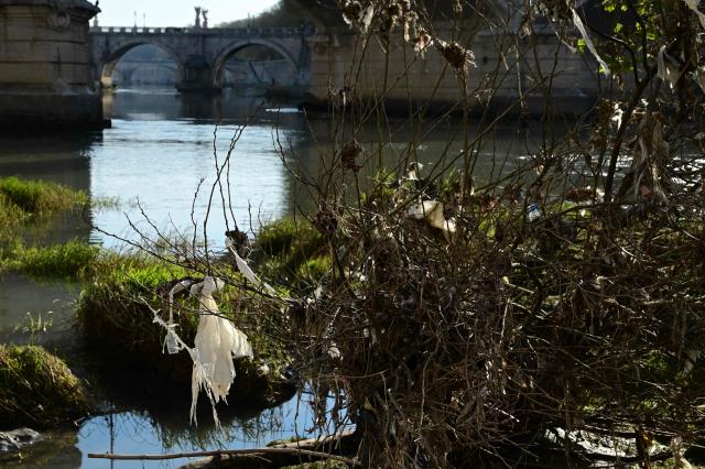 Shreds of plastic hang from tree branches along the Tiber after the winter floods causing pollution on March 25, 2026. (Photo by Marie-Laure MESSANA / AFP)