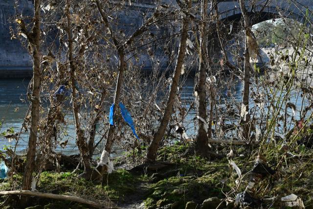 Shreds of plastic hang from tree branches along the Tiber after the winter floods causing pollution on March 25, 2026. (Photo by Marie-Laure MESSANA / AFP)
