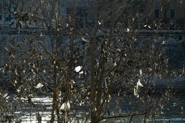 Shreds of plastic hang from tree branches along the Tiber after the winter floods causing pollution on March 25, 2026. (Photo by Marie-Laure MESSANA / AFP)