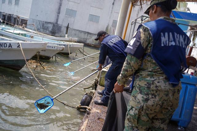 Members of the Navy carry out cleanup operations in Boca del Rio, Veracruz state, Mexico, on March 25, 2026. The Mexican government said on March 25 that it has removed 128 tons of crude oil residue from the Gulf of Mexico following a spill first reported in early March. (Photo by Victoria Razo / AFP)