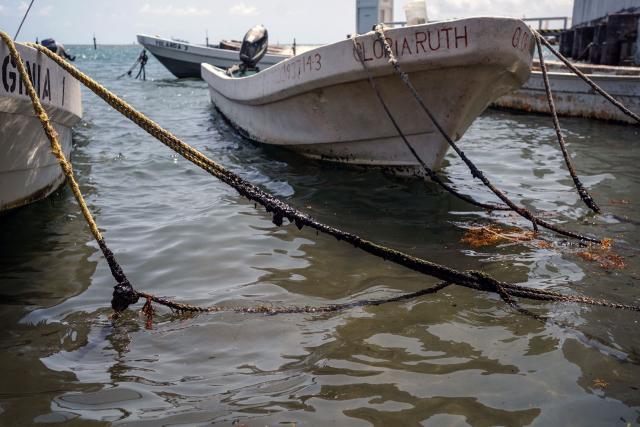 Mooring ropes covered in crude oil residue are seen attached to small boats in Boca del Rio, Veracruz state, Mexico, on March 25, 2026. The Mexican government said on March 25 that it has removed 128 tons of crude oil residue from the Gulf of Mexico following a spill first reported in early March. (Photo by Victoria Razo / AFP)